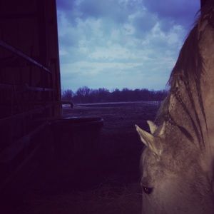 Meet your Posher, Lydia